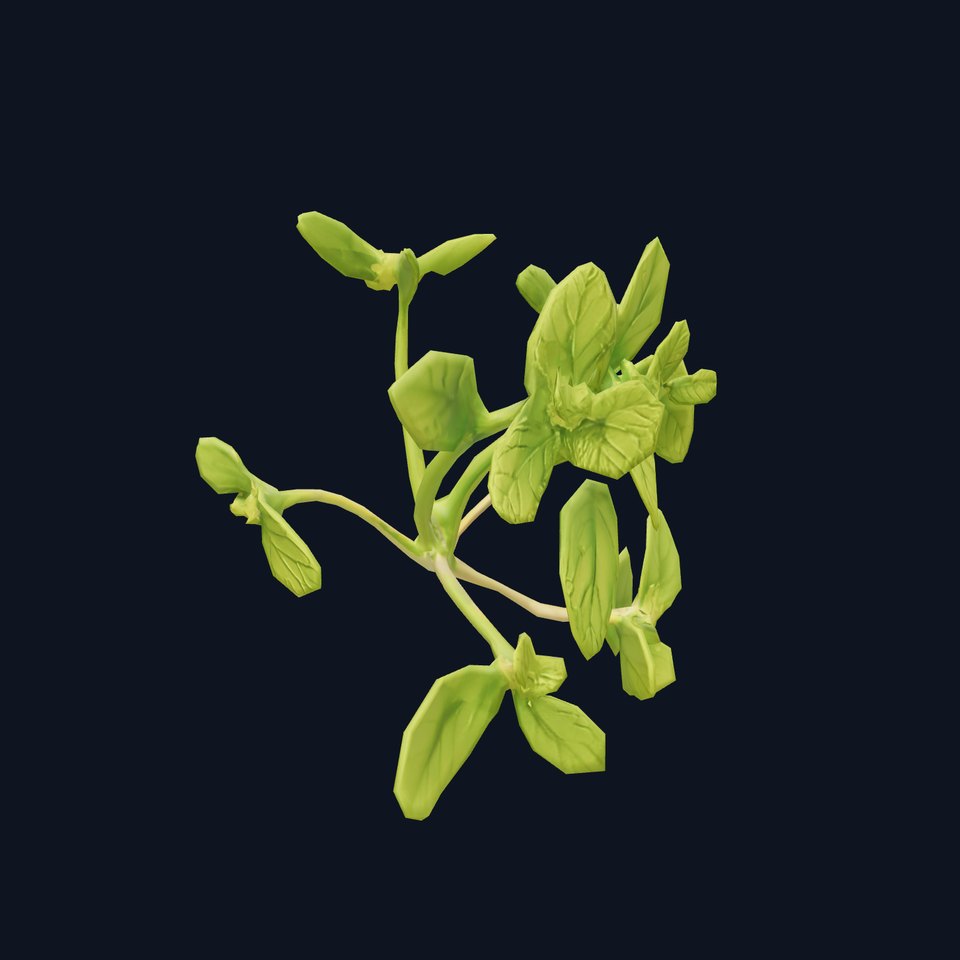 Fresh Mint Leaf model pack